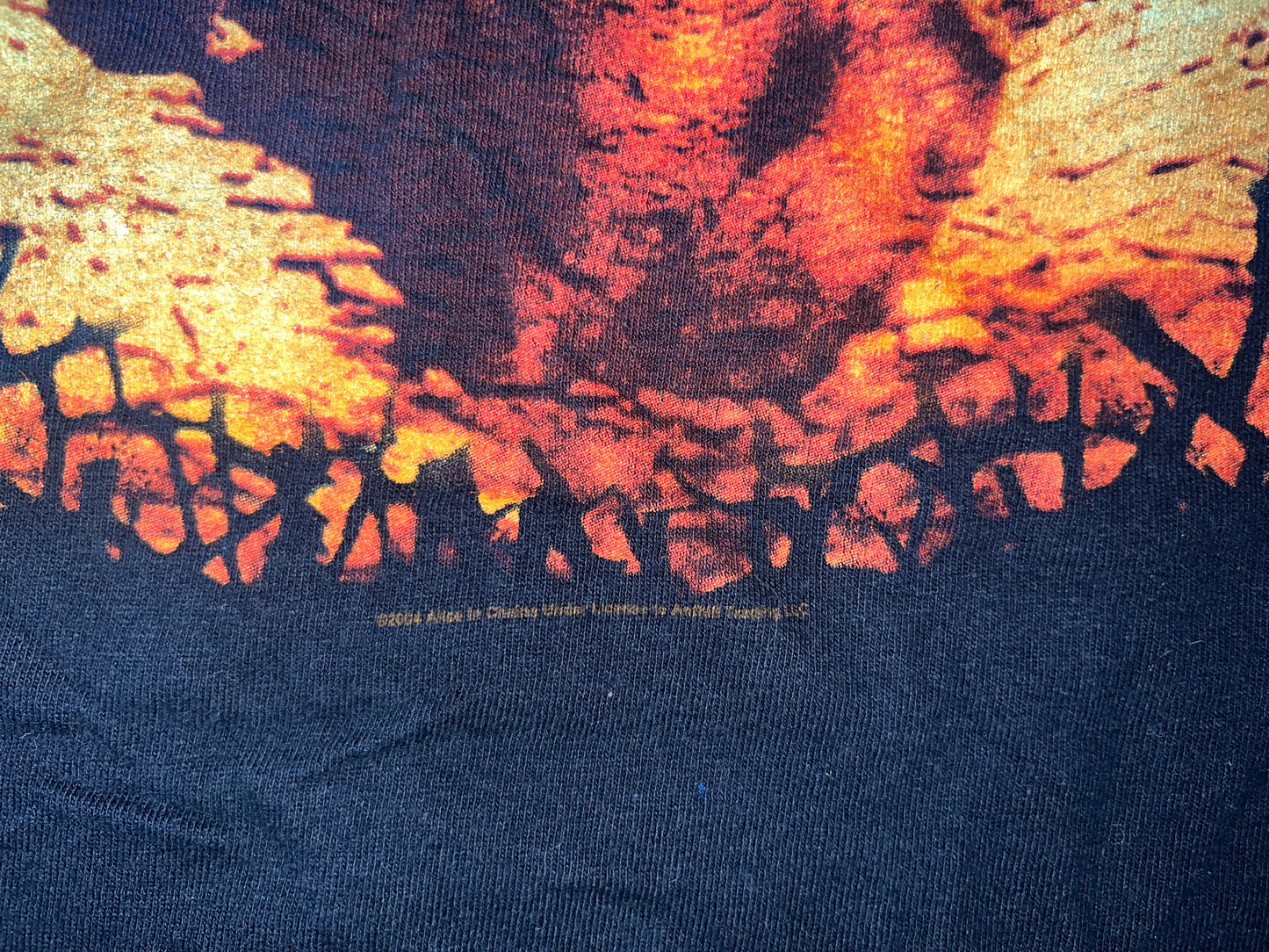 VIntage 2004 Alice in Chains T-Shirt