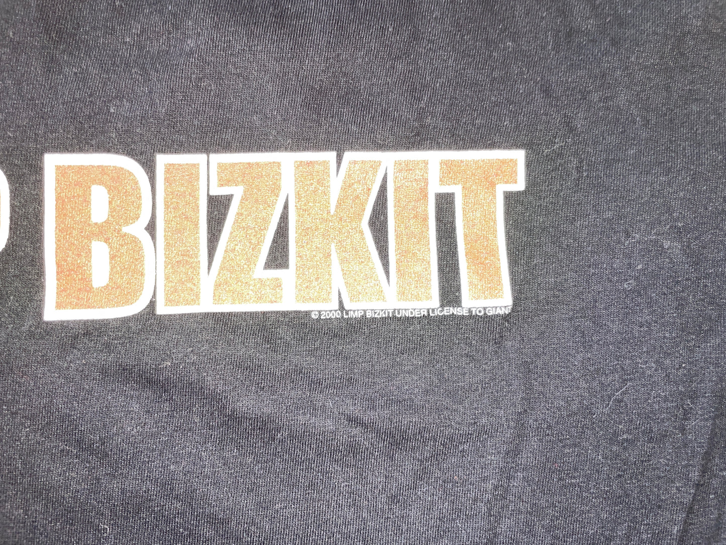 Vintage 2000 Limp Bizkit T-Shirt