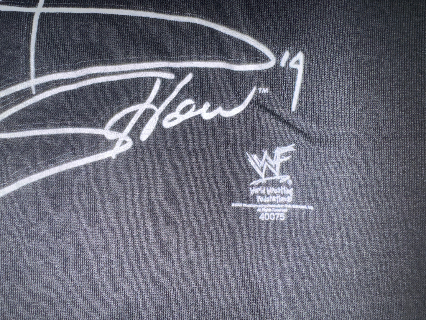 Vintage 2000 WWE Big Show T-Shirt