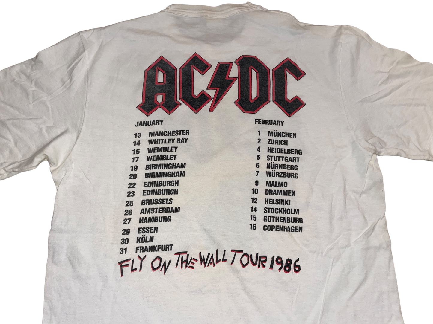 Vintage 1986 ACDC Fly on the Wall T-Shirt