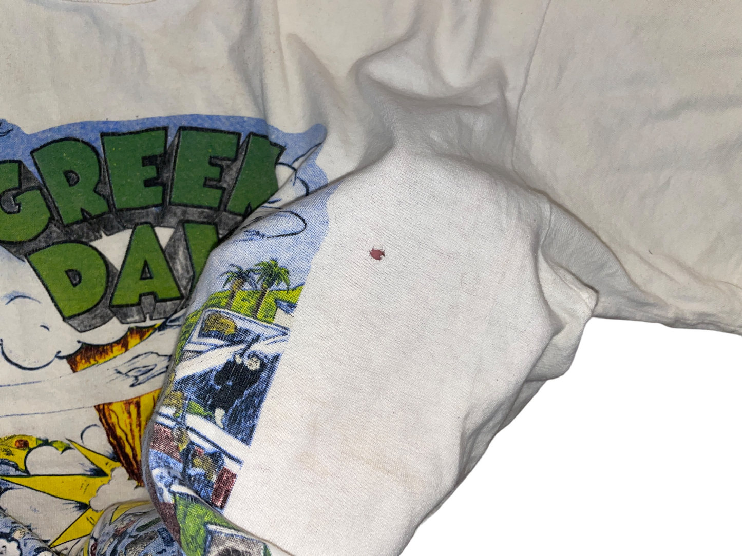 Vintage 1994 Green Day US Tour Dookie T-Shirt