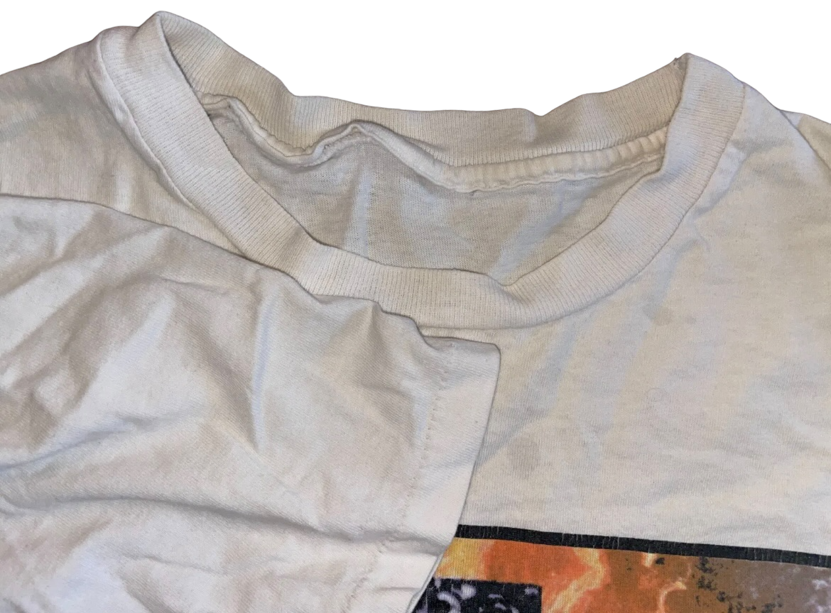 Vintage 1995 Green Day Shirt