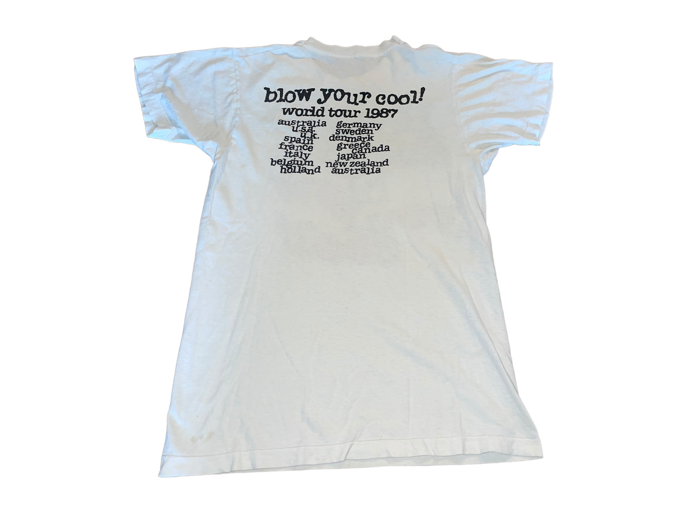 Vintage 1987 Hodoo Gurus T-Shirt