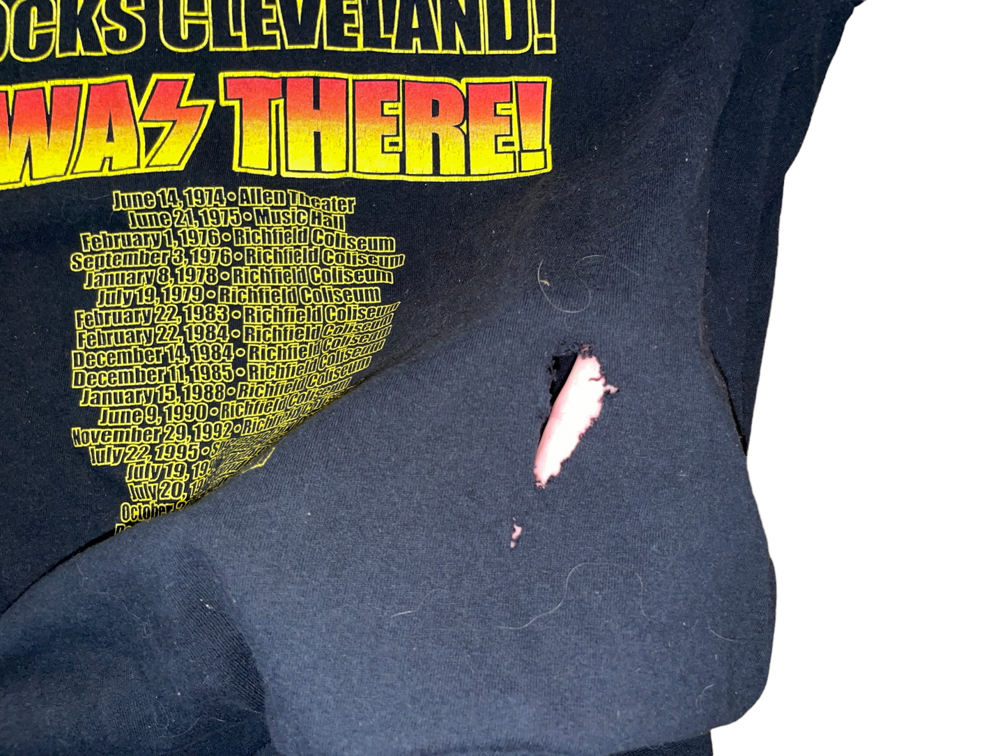 Vintage 2000 Kiss Tour T-Shirt