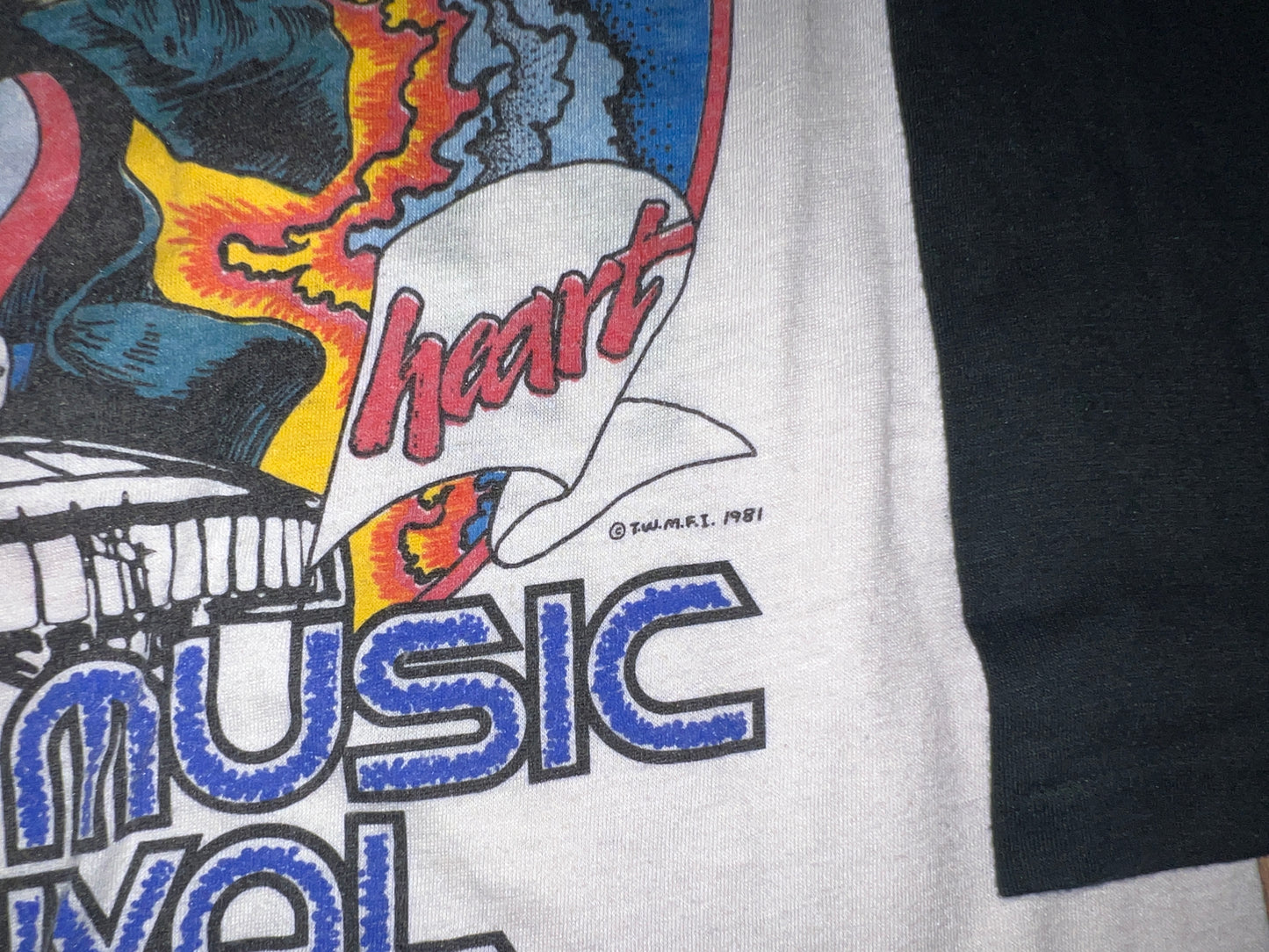 Vintage 1981 Texxas Festival Shirt