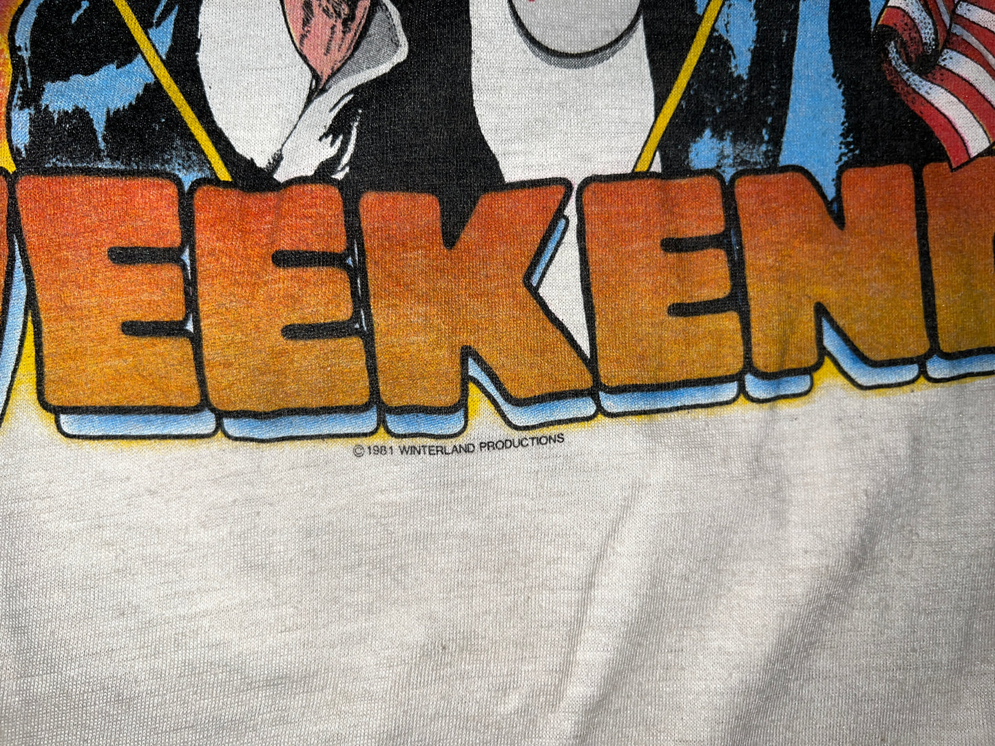 Vintage 1981 Heart Shirt