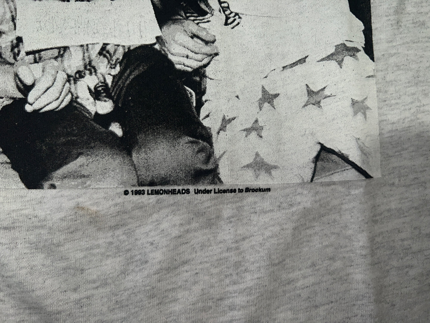 Vintage 1993 Lemonheads T-Shirt