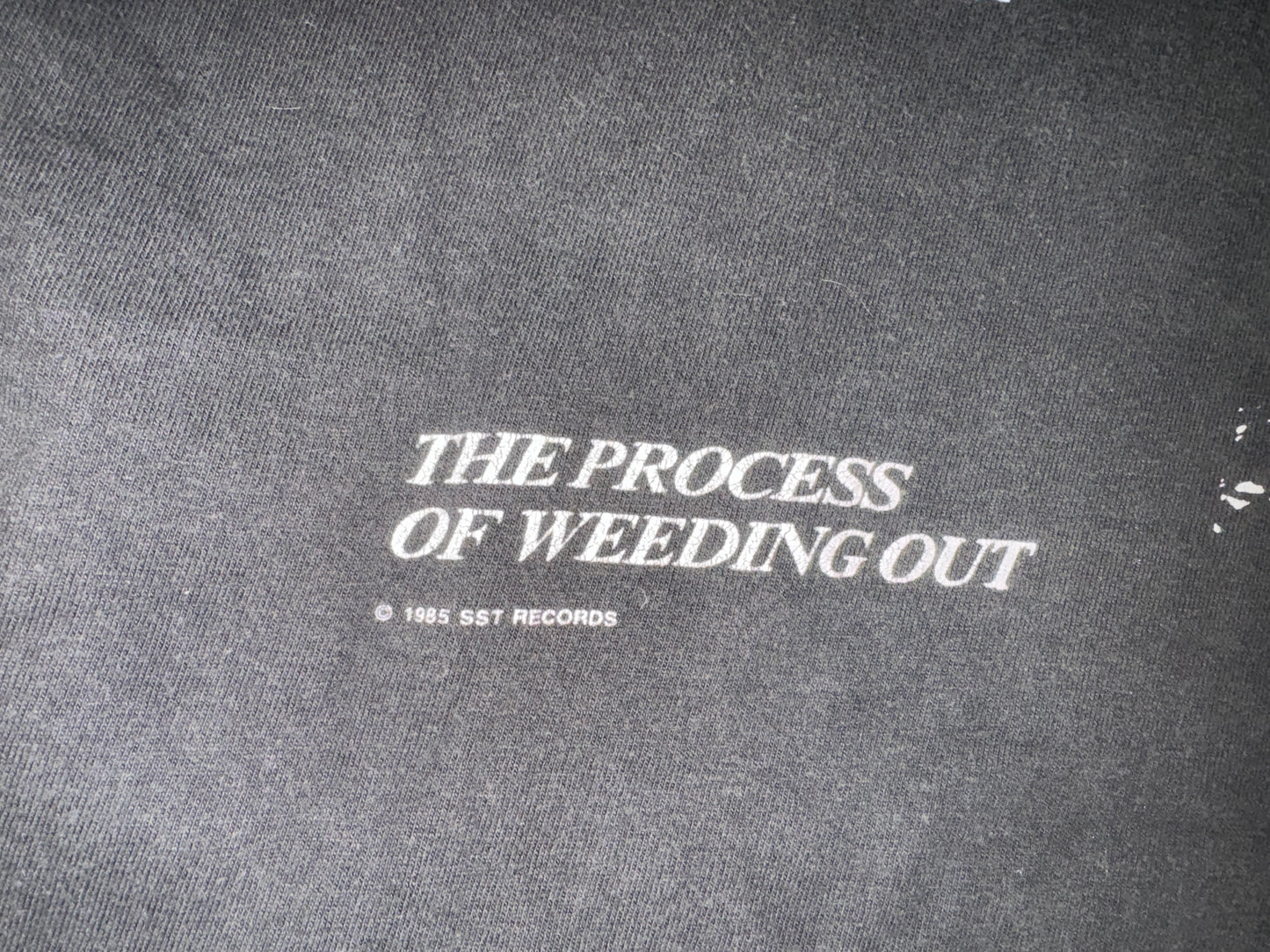 Vintage 1985 Black Flag T-Shirt
