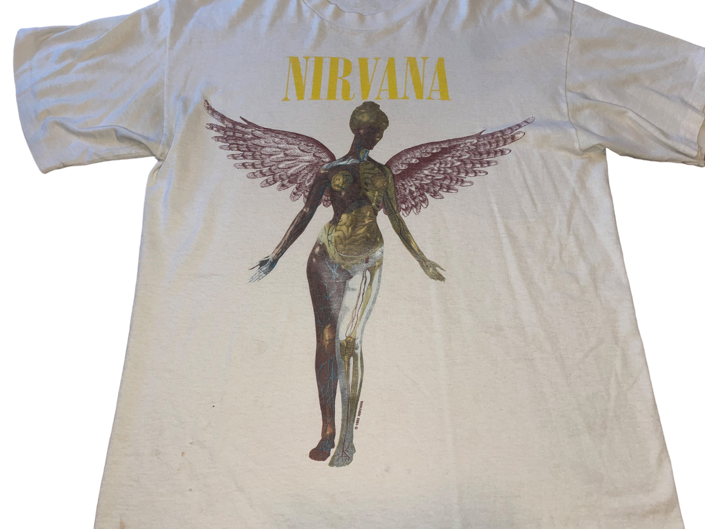 Vintage 1993 Nirvana T-Shirt