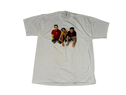 Vintage 2000 Blink 182 T-Shirt
