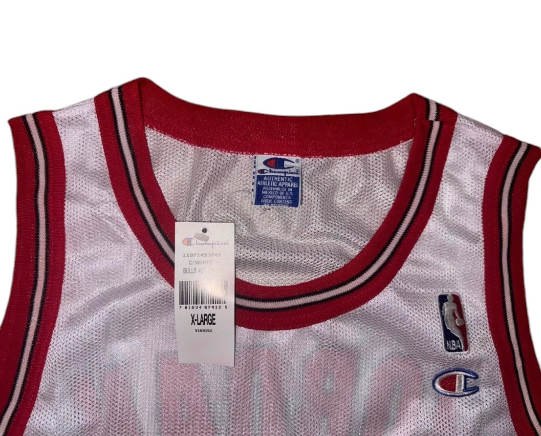 Vintage 1990's Jordan Champion Jersey