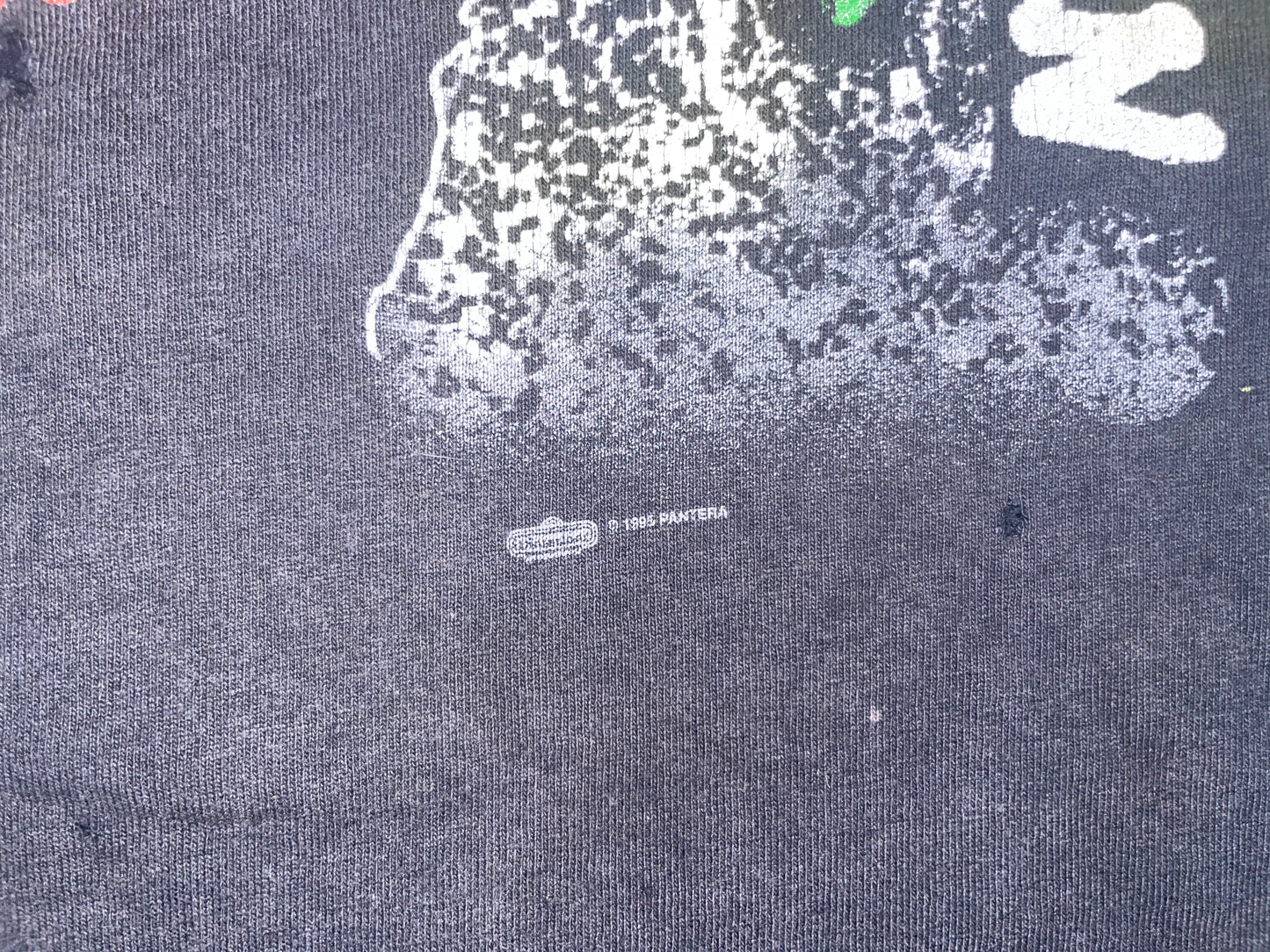 Vintage 1995 Pantera Long Sleeve T-Shirt