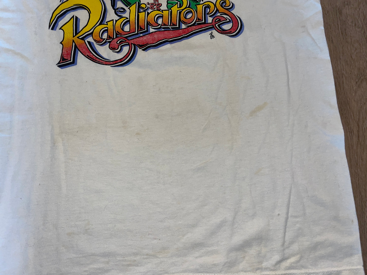 Vintage 1988 The Radiators T-Shirt