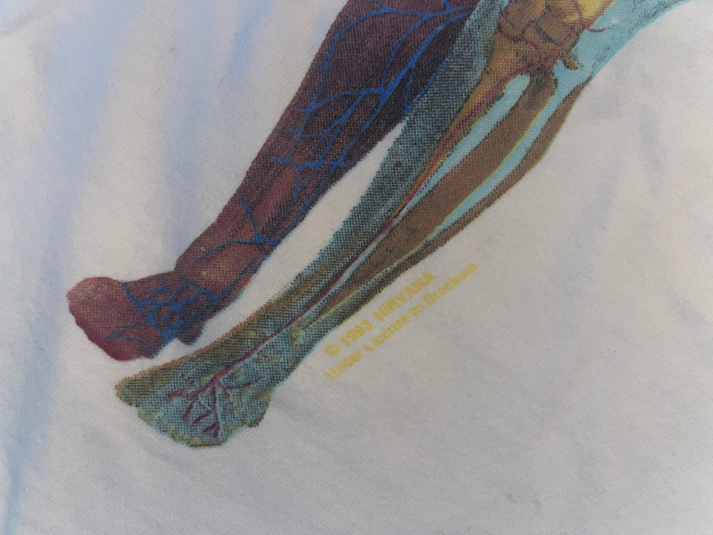 Vintage 1993 Nirvana T-Shirt