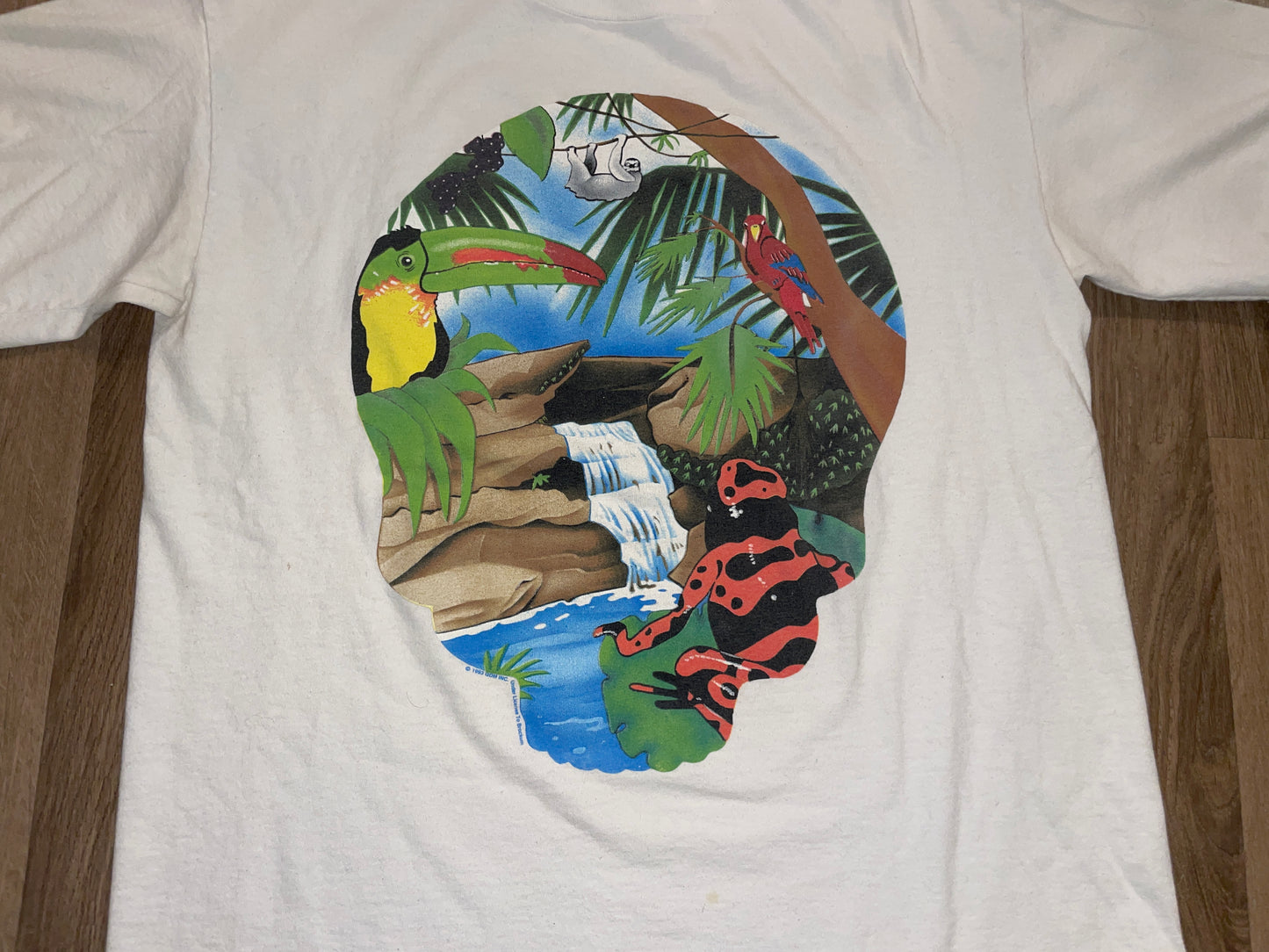Vintage 1993 The Grateful Dead Spring Tour T-Shirt