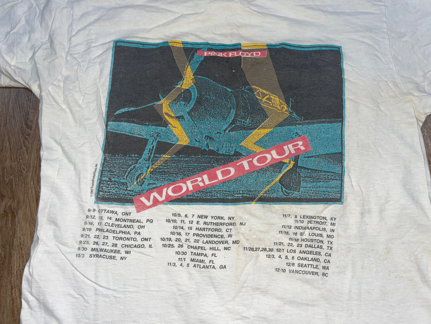 Vintage 1987 Pink Floyd World Tour T-Shirt