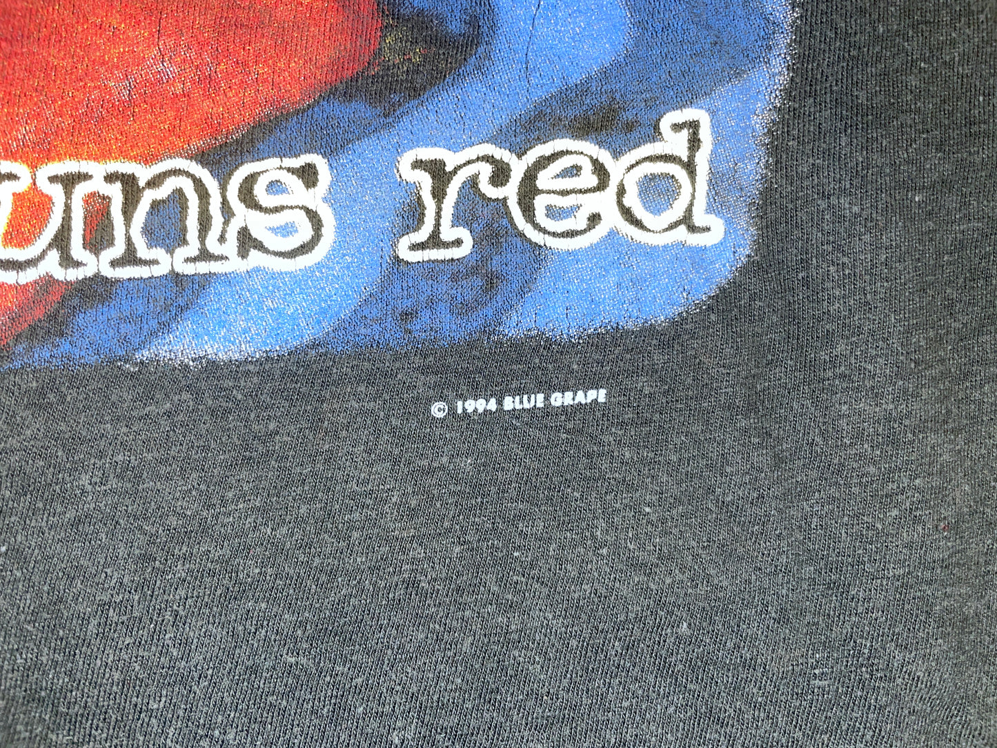 Vintage 1994 Life of Agony T-Shirt