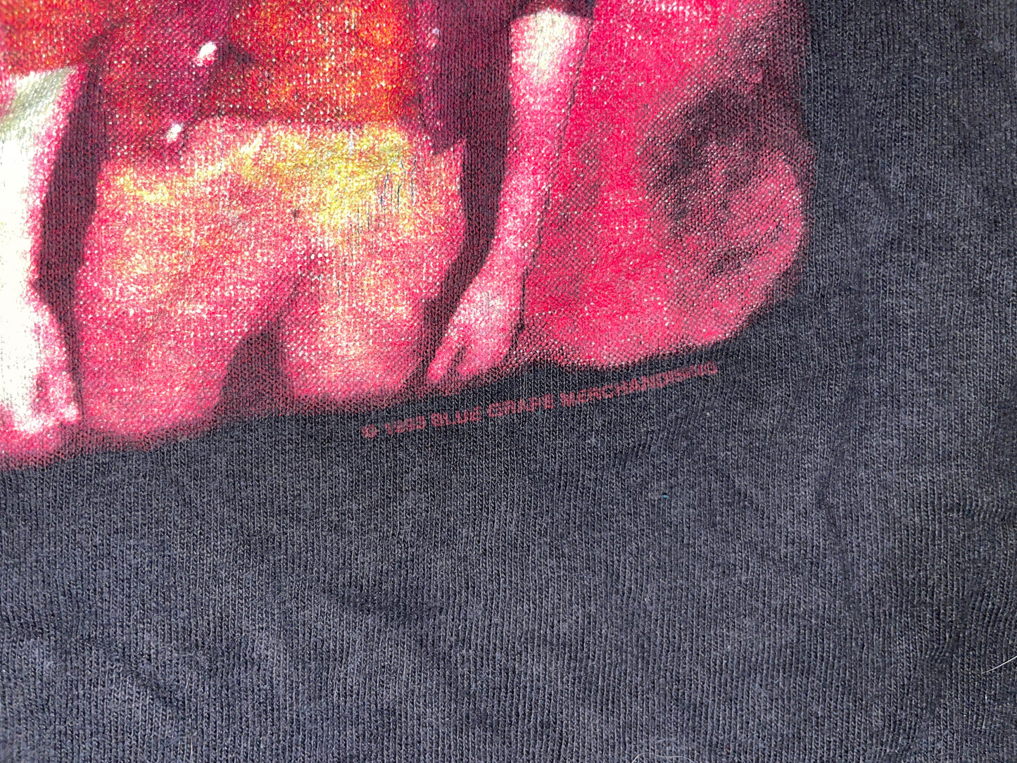 Vintage 1993 Deicide Feasting The Beast T-Shirt