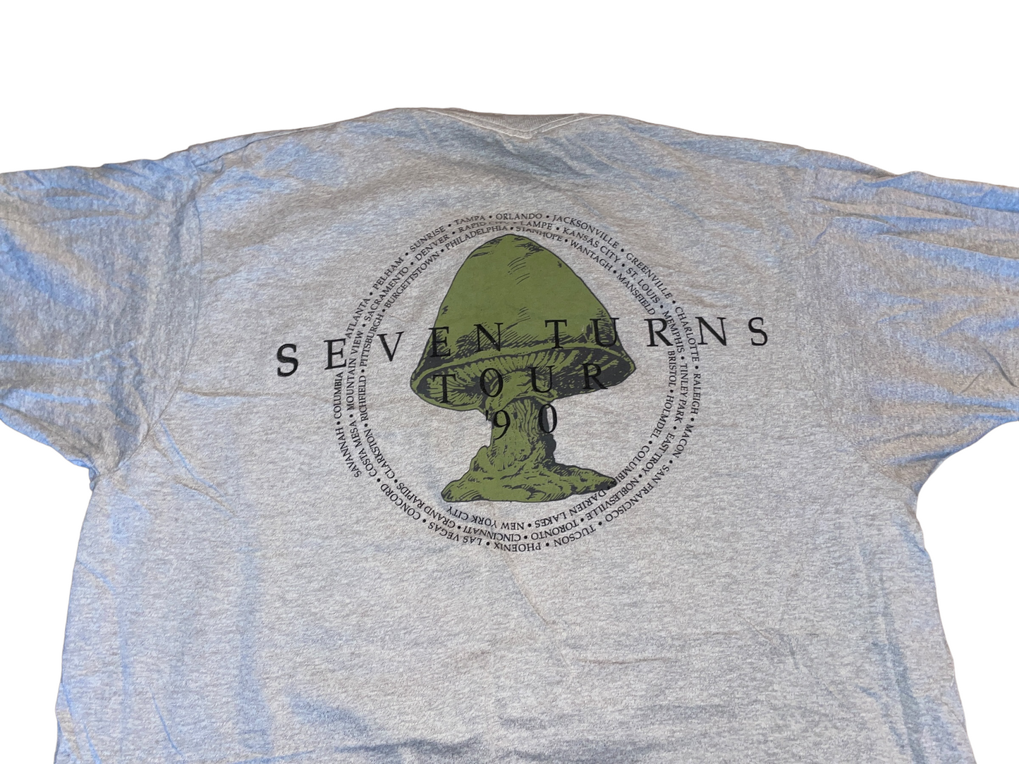Vintage 1990 The Allman Brothers Band T-Shirt