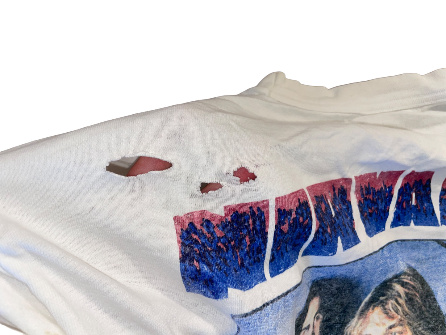 Vintage 90's Nirvana In Utero T-Shirt