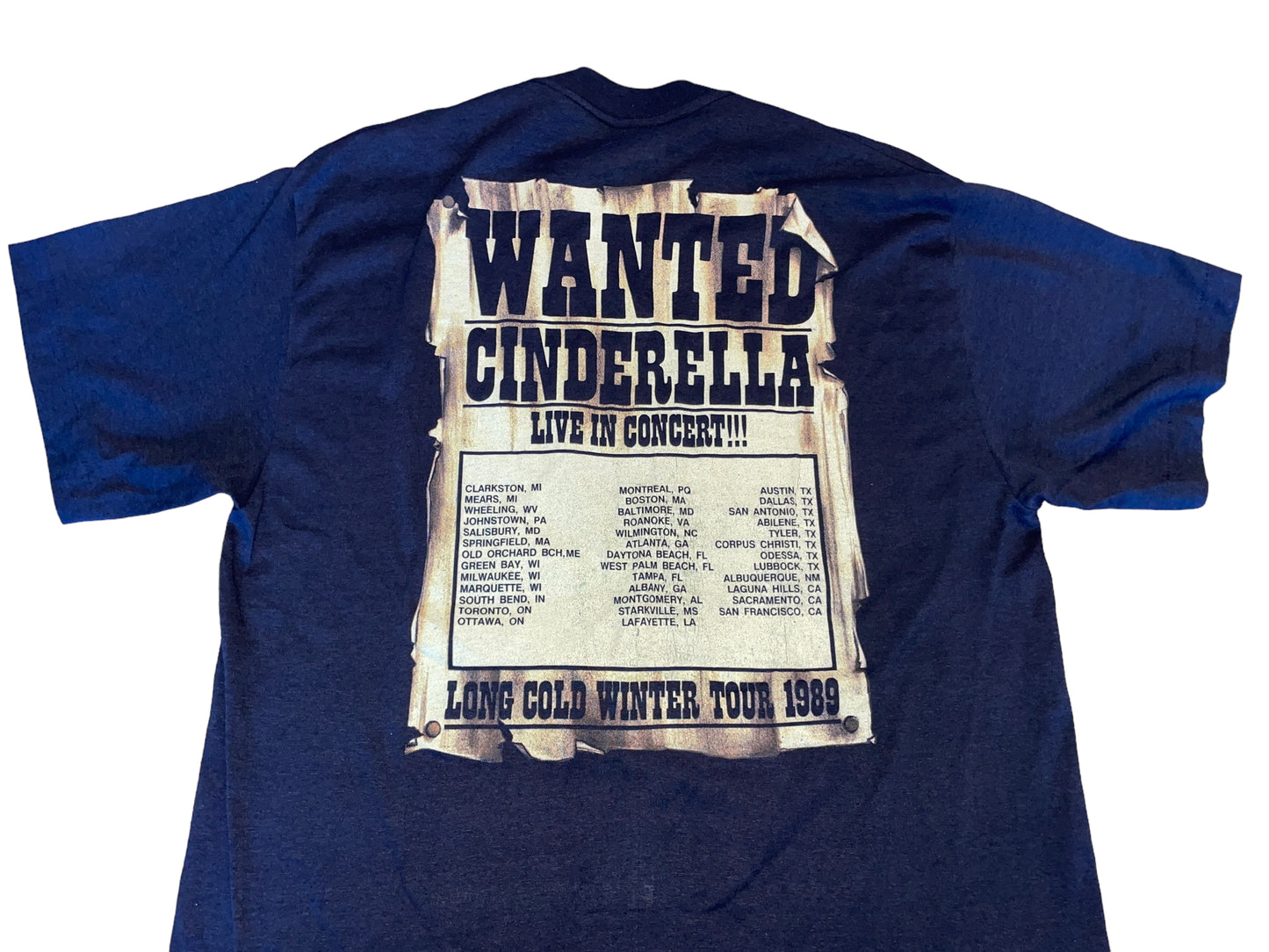 Vintage 1989 Cinderella T-Shirt