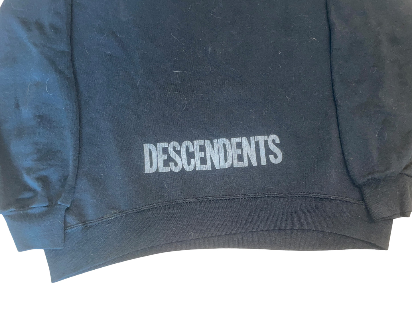Vintage 80's Descendents Sweatshirt