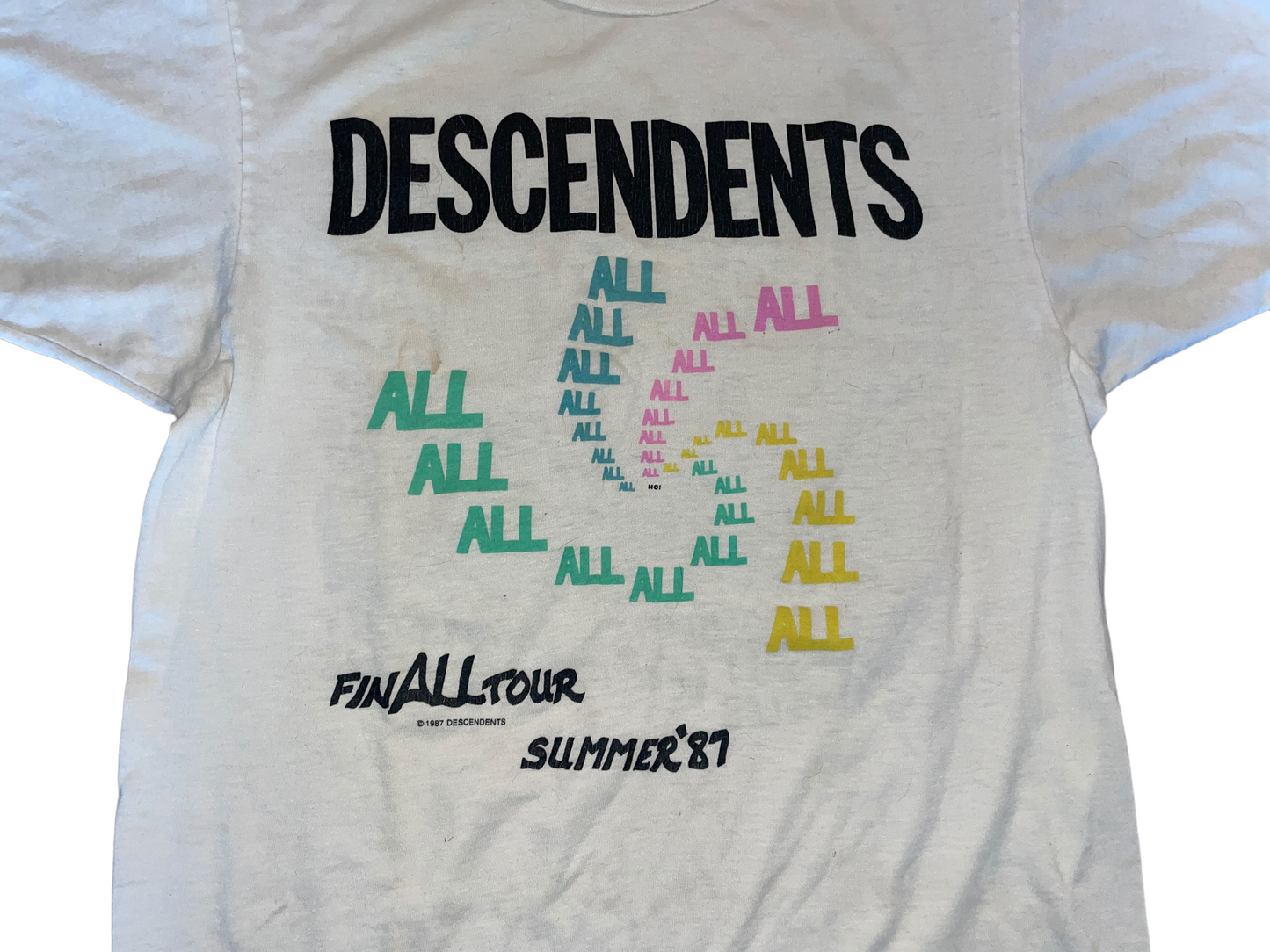 Vintage 1987 Descendents Finall Summer Tour T-Shirt
