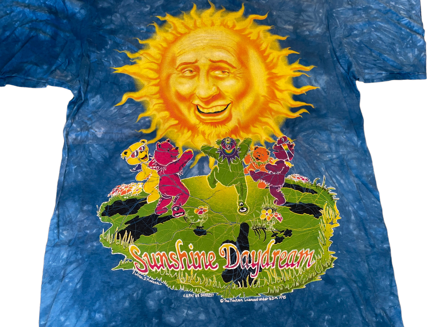 Vintage 1995 Grateful Dead T-Shirt