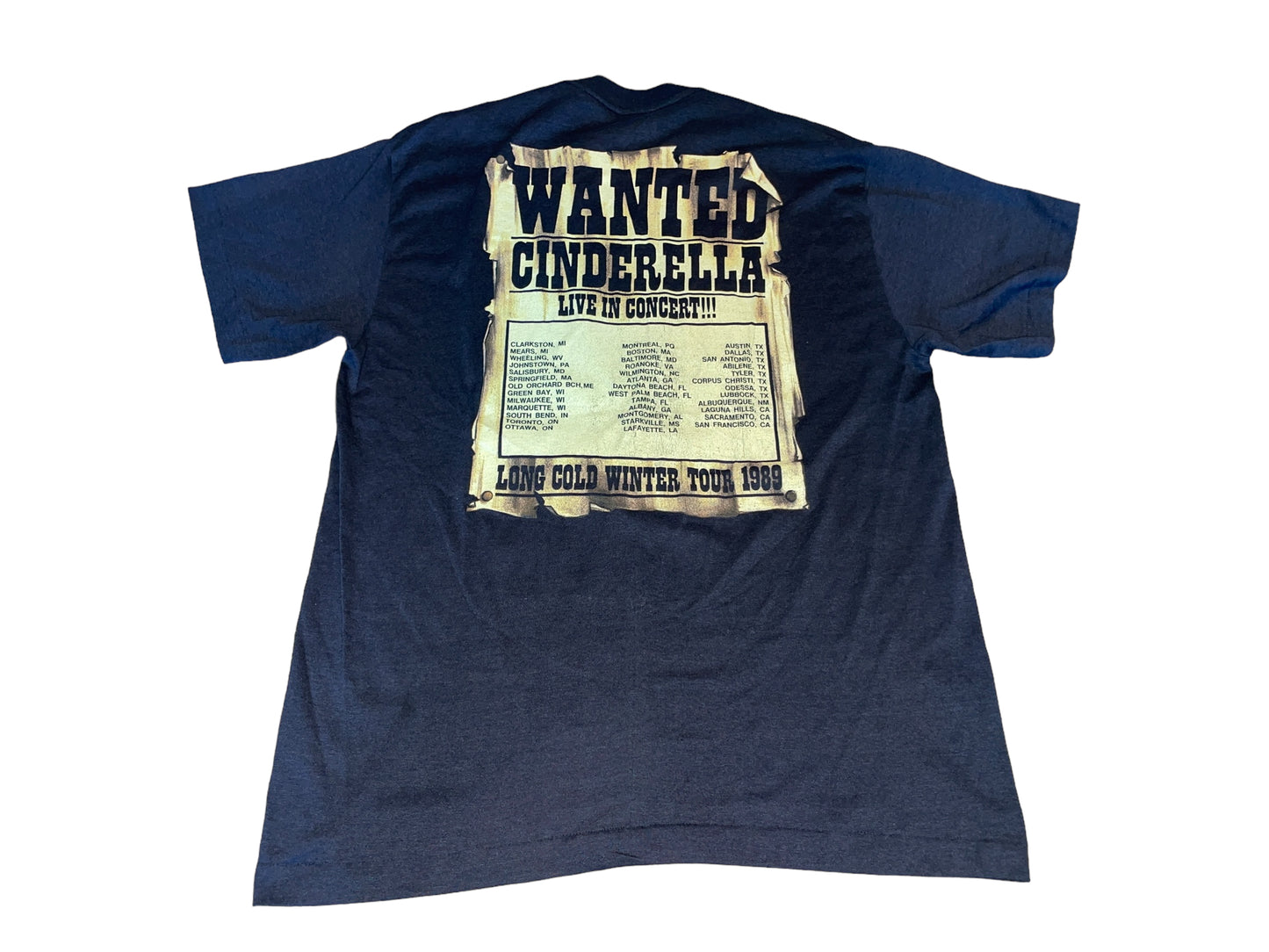 Vintage 1989 Cinderella T-Shirt