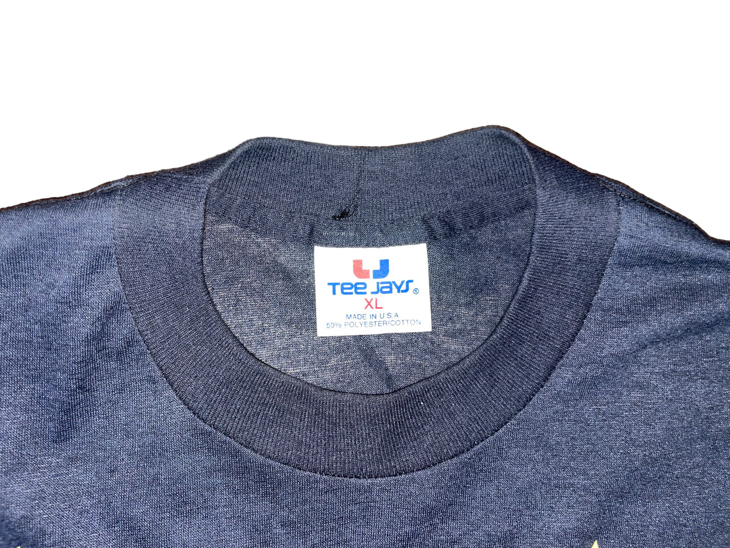 Vintage 1989 Cinderella T-Shirt