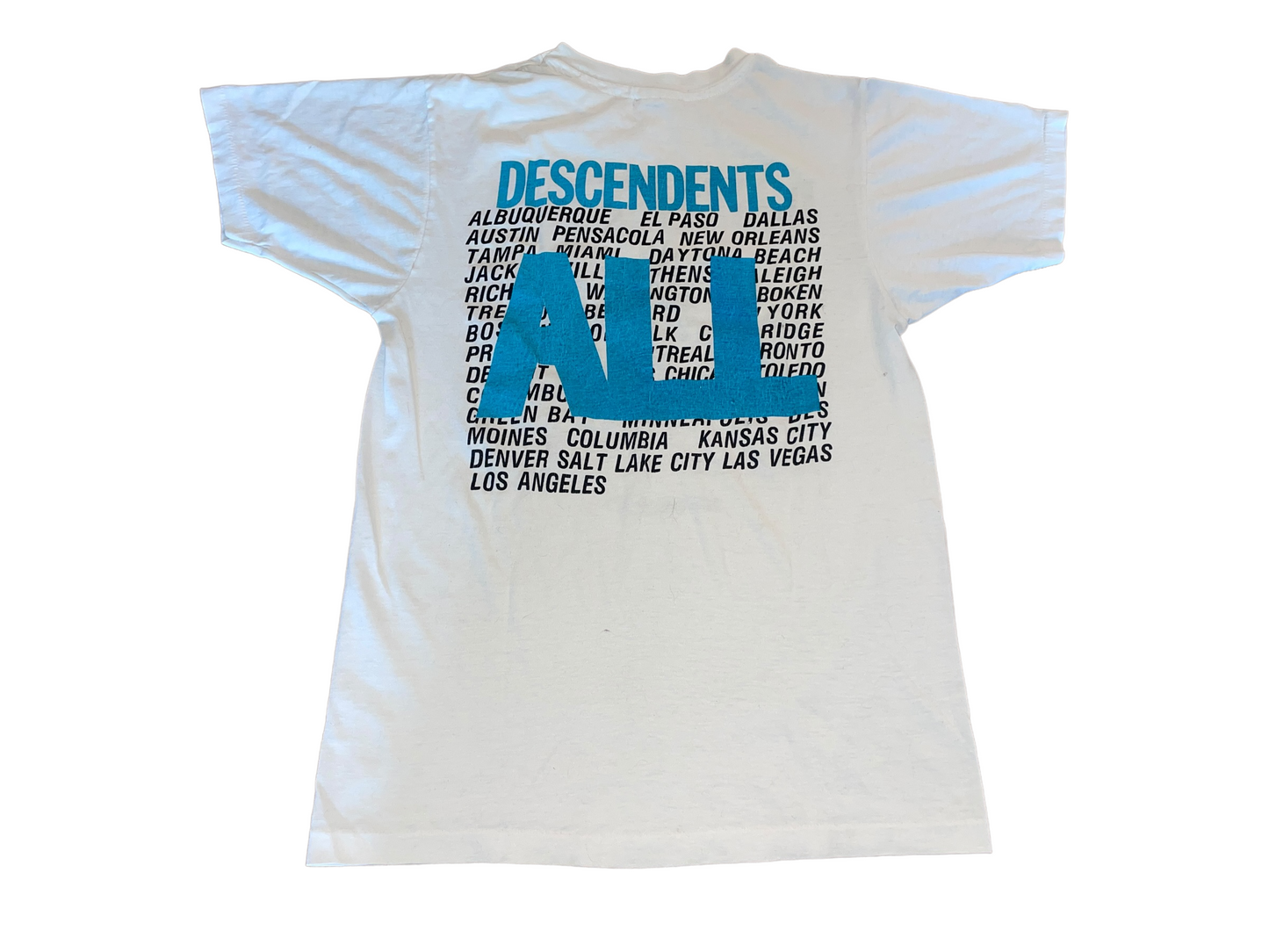 Vintage 1987 Descendents Finall Summer Tour T-Shirt