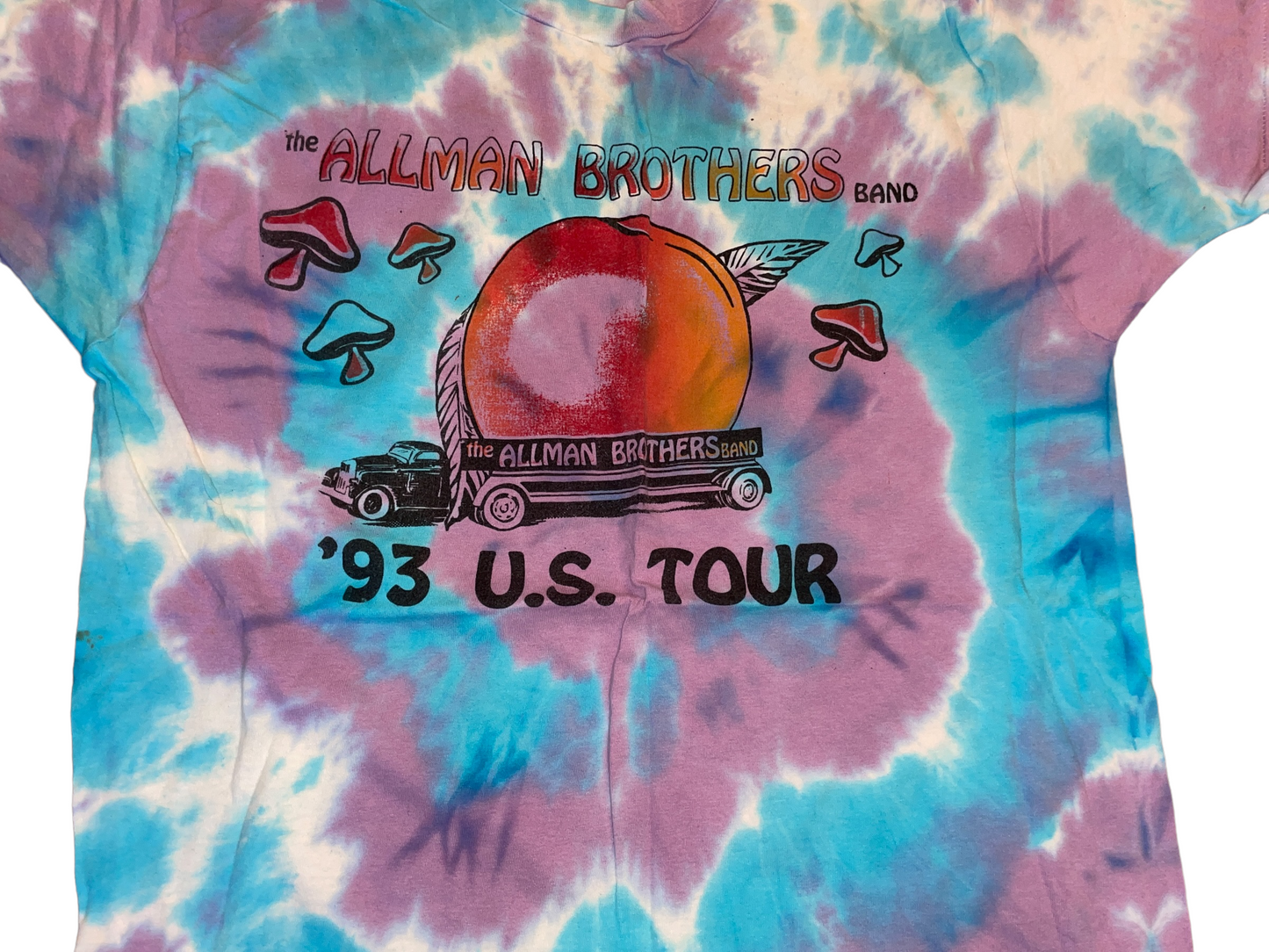 Vintage 1993 The Allman Brothers Band T-Shirt