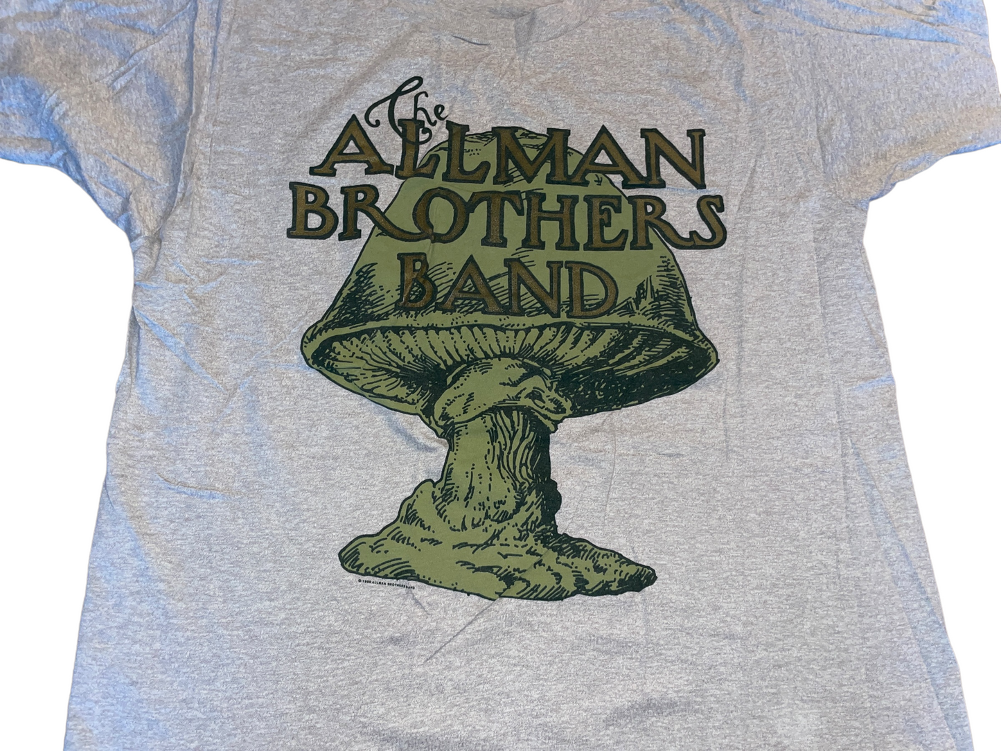 Vintage 1990 The Allman Brothers Band T-Shirt