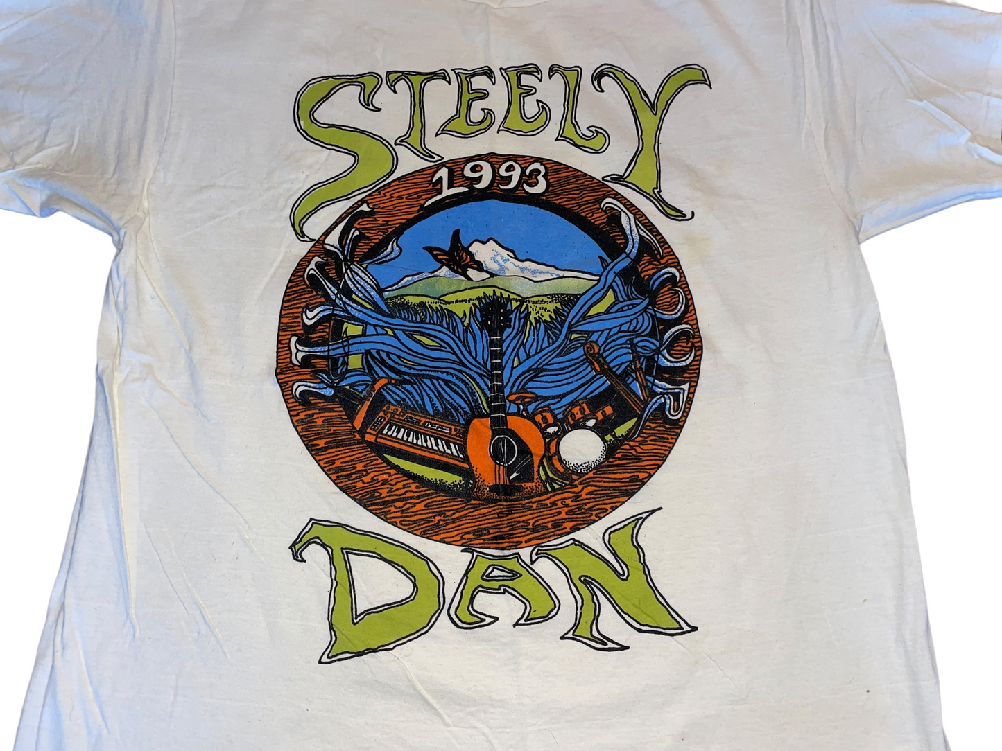 Vintage 1993 Steely Dan T-Shirt