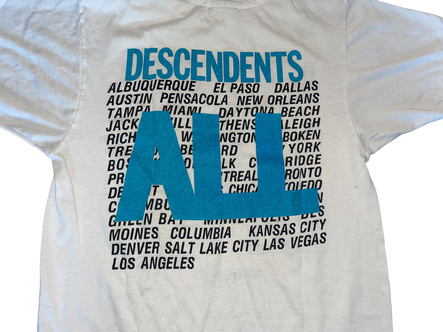 Vintage 1987 Descendents Finall Summer Tour T-Shirt